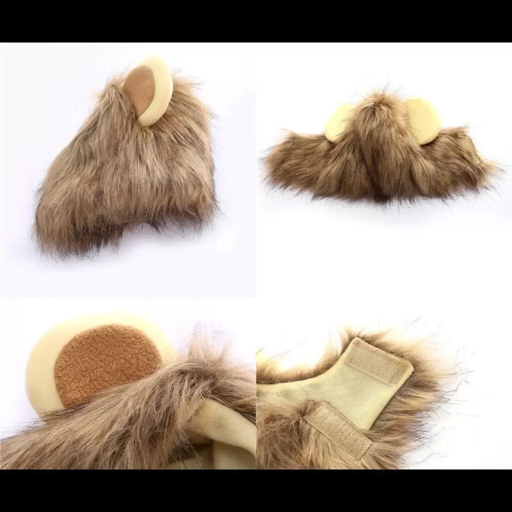 Lion Face Costume